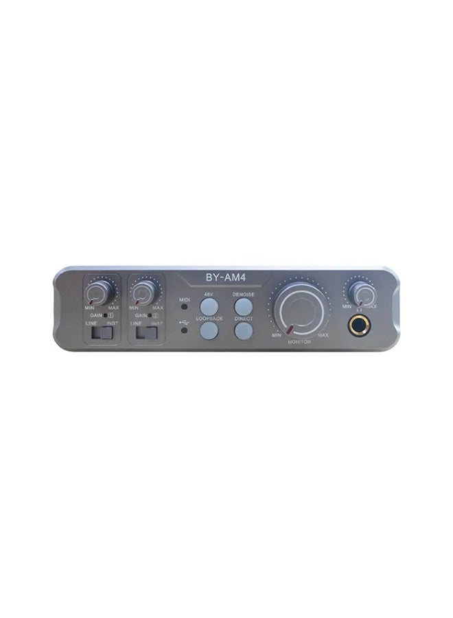 BOYA BY-AM4 Dual-Channel Audio Interface - Image 5